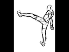 https://image.noelshack.com/fichiers/2013/25/1371752061-kick-ufc.png