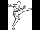 https://image.noelshack.com/fichiers/2013/25/1371752119-saut-ufc.png