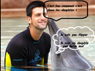 https://image.noelshack.com/fichiers/2013/25/1371758944-novak-novak-djokovic-32636652-500-379.jpg