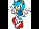 https://image.noelshack.com/fichiers/2013/25/1371852535-amy-rose-recolored-sonic-style-by-happynoodleboy23-d4i3jm9.png