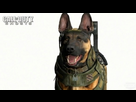 https://image.noelshack.com/fichiers/2013/25/1372016094-call-of-duty-dog-1550538.jpg
