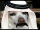 https://image.noelshack.com/fichiers/2013/26/1372066503-bledartana-gif.jpg