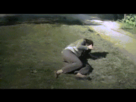 https://image.noelshack.com/fichiers/2013/26/1372116665-sony2.gif