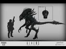 https://image.noelshack.com/fichiers/2013/26/1372265616-normal-concept77.jpg