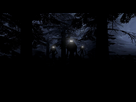 https://image.noelshack.com/fichiers/2013/26/1372444910-des-lucioles-dans-la-nuit.jpg