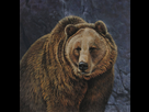 https://image.noelshack.com/fichiers/2013/26/1372507029-the-heavyweight-grizzly-by-citizenolek.jpg