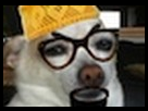 https://image.noelshack.com/fichiers/2013/27/1373143054-foukandish-gif.jpg