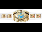 https://image.noelshack.com/fichiers/2013/27/1373144175-new-wwe-intercontinental-championship-icon.png