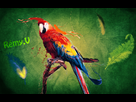 https://image.noelshack.com/fichiers/2013/28/1373313286-parrot-design.jpg