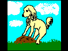 https://image.noelshack.com/fichiers/2013/28/1373457524-petit-chien.png
