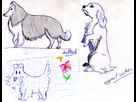 https://image.noelshack.com/fichiers/2013/28/1373457681-dessins-de-moi-01.jpg
