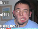 https://image.noelshack.com/fichiers/2013/28/1373493445-hurr-durr-derp-face-night-of-the-living-derps.jpg