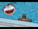 https://image.noelshack.com/fichiers/2013/28/1373554823-requin.jpg