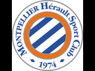 https://image.noelshack.com/fichiers/2013/28/1373571954-montpellier-foot-mhsc.jpg