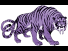 https://image.noelshack.com/fichiers/2013/28/1373645558-purple-tiger.png