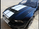 https://image.noelshack.com/fichiers/2013/28/1373793914-shelby3.jpg