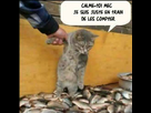 https://image.noelshack.com/fichiers/2013/29/1373883086-68300-10200314177369272-75272115-n.jpg
