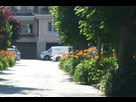https://image.noelshack.com/fichiers/2013/29/1373991165-dscf1953.jpg
