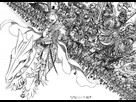 https://image.noelshack.com/fichiers/2013/29/1374019563-berserk-30722.jpg