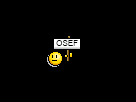 https://image.noelshack.com/fichiers/2013/29/1374156287-osefnon.gif