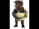 https://image.noelshack.com/fichiers/2013/29/1374265394-shrekortex.jpg