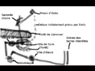 https://image.noelshack.com/fichiers/2013/29/1374325838-map-fic-sotc.png