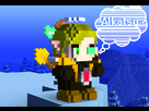 https://image.noelshack.com/fichiers/2013/29/1374368730-moi-cube-world.png
