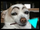 https://image.noelshack.com/fichiers/2013/29/1374420755-jcqs-gif.jpg