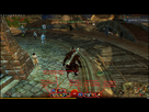 https://image.noelshack.com/fichiers/2013/30/1374598200-sorts-gw2.jpg