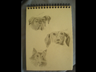 https://image.noelshack.com/fichiers/2013/30/1374698928-dscn1930.jpg