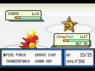 https://image.noelshack.com/fichiers/2013/30/1374835528-2ndchampion.png