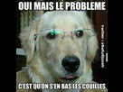 https://image.noelshack.com/fichiers/2013/30/1374890267-oui-mes-le-probleme-c-est-qu-on-s-en-bat-les-couilles.jpg