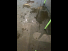 https://image.noelshack.com/fichiers/2013/30/1375036617-iphone-image-07-28-2013.jpg