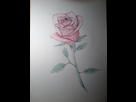 https://image.noelshack.com/fichiers/2013/30/1375043788-iphone-image-07-28-2013.jpg