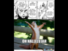 https://image.noelshack.com/fichiers/2013/31/1375272273-memecenter-1375272203654-353.jpg