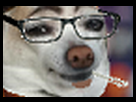 https://image.noelshack.com/fichiers/2013/31/1375293602-etesla-gif.png