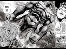 https://image.noelshack.com/fichiers/2013/31/1375542755-onepunch-man-4305931.jpg