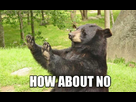 https://image.noelshack.com/fichiers/2013/32/1375975334-640px-01-how-about-no-bear.jpg