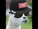 https://image.noelshack.com/fichiers/2013/32/1375983860-ouis.png
