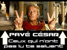 https://image.noelshack.com/fichiers/2013/33/1376335041-pave-cesar.jpg