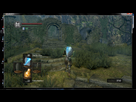 https://image.noelshack.com/fichiers/2013/33/1376389269-dark-souls-avec-dsfix-flora.png