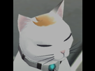 https://image.noelshack.com/fichiers/2013/33/1376513639-nyanstandine-approves.png