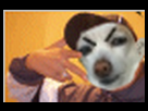 https://image.noelshack.com/fichiers/2013/33/1376580754-phreak-gif.png
