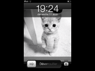 https://image.noelshack.com/fichiers/2013/33/1376604338-iphone-image-08-16-2013.jpg
