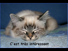 https://image.noelshack.com/fichiers/2013/33/1376679249-n060403082356-97-f54797af59.jpg