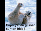 https://image.noelshack.com/fichiers/2013/33/1376679442-nours031946-converted.jpg