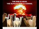 https://image.noelshack.com/fichiers/2013/33/1376686367-alpacalypse.jpg