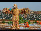 https://image.noelshack.com/fichiers/2013/33/1376741994-scarecrow-m.jpg