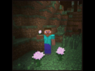 https://image.noelshack.com/fichiers/2013/34/1376913641-600px-pivoine.png