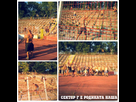 https://image.noelshack.com/fichiers/2013/34/1377020083-cska.jpg